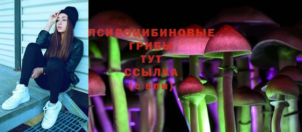 ПСИЛОЦИБИНОВЫЕ ГРИБЫ Алзамай