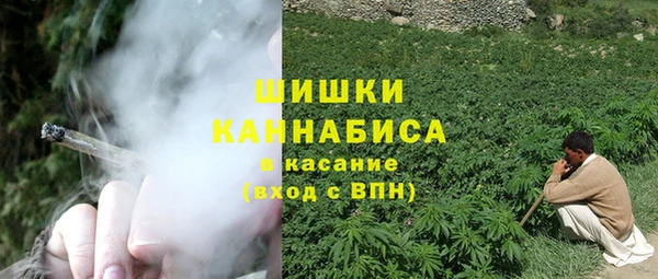 ПСИЛОЦИБИНОВЫЕ ГРИБЫ Алзамай