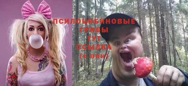 ПСИЛОЦИБИНОВЫЕ ГРИБЫ Алзамай