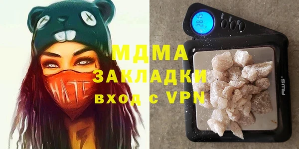 индика Алексин