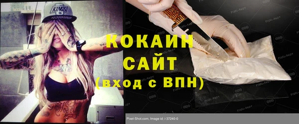 индика Алексин