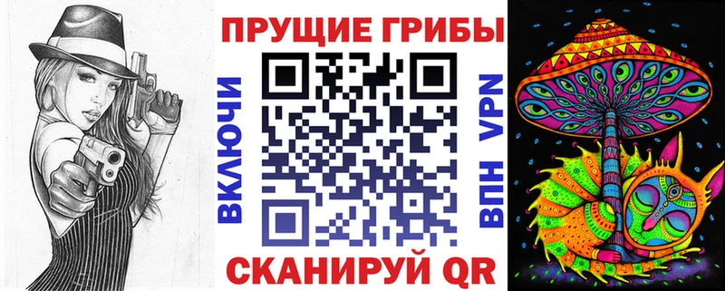 цены наркотик Бердск Псилоцибиновые грибы GOLDEN TEACHER