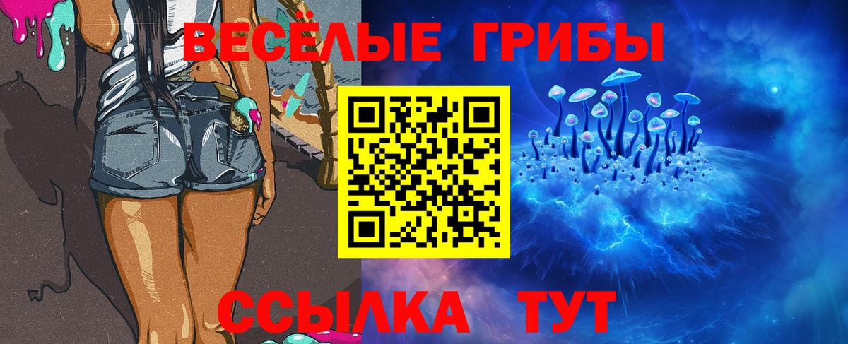 Галлюциногенные грибы Cubensis  Вход с VPN  Бердск 