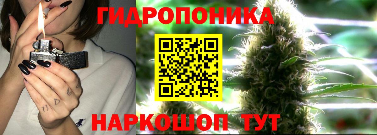 МАРИХУАНА конопля Бердск